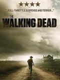 Affiche The Walking Dead saison 2